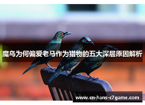 魔鸟为何偏爱老马作为猎物的五大深层原因解析