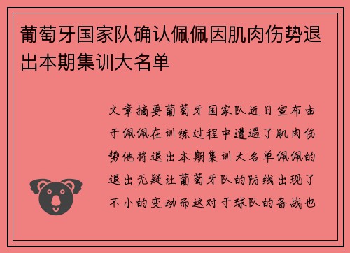 葡萄牙国家队确认佩佩因肌肉伤势退出本期集训大名单